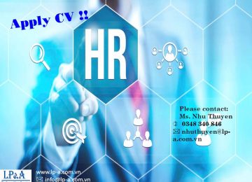 HR Payroll/Outsourcing Executive